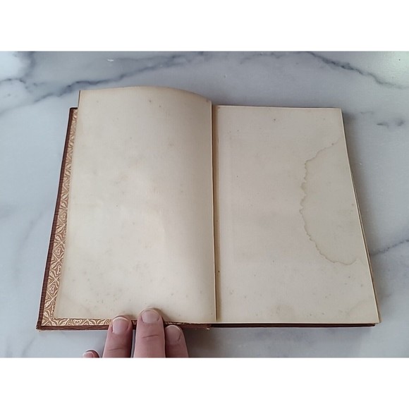 Die Chconik Der Sperlingsgaffe - Picture 3 of 10